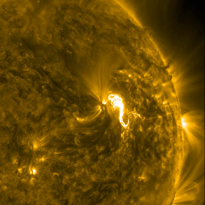 5flares_171.jpg